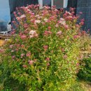 등골농장 이미지