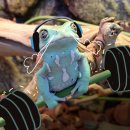 수원-0963 이미지