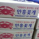 판매중단-안흥톱밥 활꽃게 판매/추석선물용 톱밥 활꽃게 판매가격/살아있는 추석 선물용 안흥 톱밥꽃게 판매/3키로 1상자 36,000원. 이미지