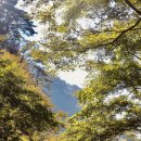 황골탐방지원센터 이미지