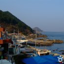 노물리 블루로드길 이미지