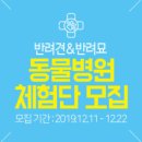 플러스동물병원 이미지