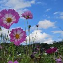 악양생태공원 이미지