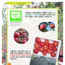 지리산구름발치