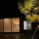 스테이청도 이미지