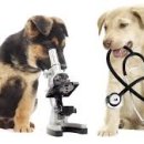 이수동물병원 이미지