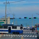 🚋 청사포 포토스팟 꿀팁+바다 옆을 달리는 감성열차! 해운대 해변열차 탑승 후기(부산 해운대 명소 추천)
