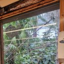 장수숯불닭갈비 이미지