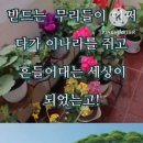 여목