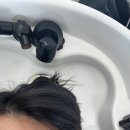 힐링 | 서울헤드스파 추천 🌿 연남동헤드스파 슬로우 헤드스파 힐링 후기