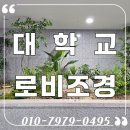 [공지] 한국교원대 다정관 기숙사 로비 인조 화단조경 시공후기