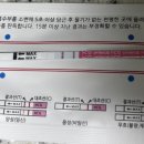 진하길 | 시험관 임테기 일자별 진하기 - 더블링 성공(시험관 이식일~+17)