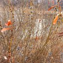 갈대숲작은도서관 이미지