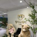 월미도레미 이미지