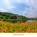 악양생태공원 이미지