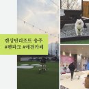 천사펫 | 애견카페 후기:: Pet 펫파크와 펫카페가 있는 켄싱턴리조트 충주! 우유랑🐶💕