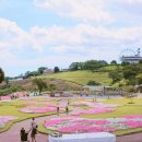 현 목장 이미지