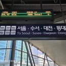 2026 04 19 徐蓉粉女史8旬宴 上京스냅 이미지