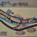 옥당걸숲속 이미지