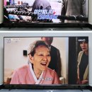 리얼닷 이미지