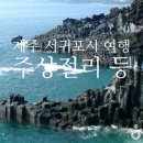 포동목장 이미지