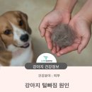 뉴하트동물병원 이미지