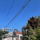 예와손만두 이미지