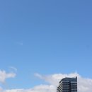 블루호라이즌호텔 이미지