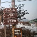 영농조합법인배바위카누마을 | <춘천 소남이섬ㅡ춘천 얼음썰매>춘천 썰매탈만한곳/춘천 아이랑 가볼만한곳/춘천 겨울놀이/춘천 가볼만...