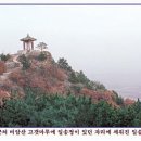 일송정 Daum카페
