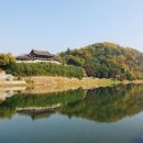 늘빛강가 이미지