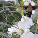 천하촌펜션 이미지