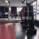 병점센트럴복싱 이미지