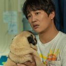 멍뭉이네 이미지