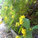 어느 날 오후 이미지