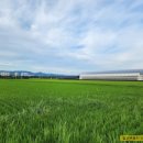 칠산부동산공인중개사사무소 이미지