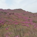 청도자연휴양림 이미지