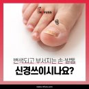 레푸스 성남태평점
