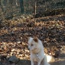 자룡농장 이미지