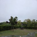 행복펫택시 | 용인 롯데프리미엄 아울렛 기흥점 펫파크 후기! 반려견과 함께 가기 좋은 나들이 장소 추천