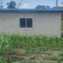 성주농장 이미지