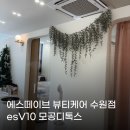 11650-1-10-595 | [수원 에너지테라피]에스떼이브 뷰티케어 수원점 esV10 모공 디톡스 피지케어 본식 전 관리 후기
