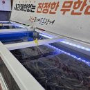 황금조개 튼튼장어 이미지