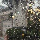 (주)더지엔 | WIMB_08_C2025_ 10M #2025청원생명쌀대청호마라톤대회 후기 🏃‍♀️