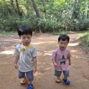 황방산 야영장 | 🌿 울산 황방산 맨발걷기 체험기 — 아이들과 함께 흙길 위를 걸어요 👣