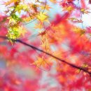 우리 늘 이미지