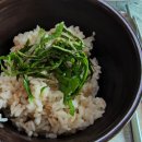 목원멍게