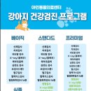 아인동물의료센터 이미지