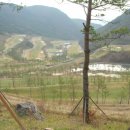 우성자원 이미지