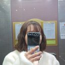 헤어제안